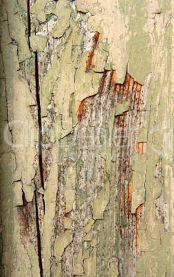 Weathered old painted wood