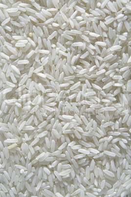 close-up on white rice surface