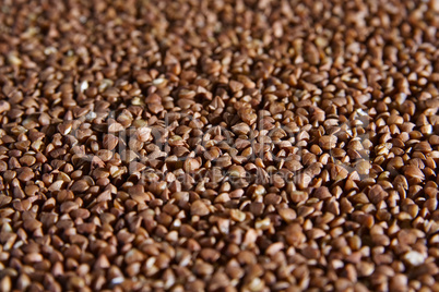 close-up on buckwheat surface