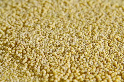 close-up on abraded millet groats surfase