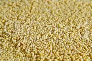 close-up on abraded millet groats surfase