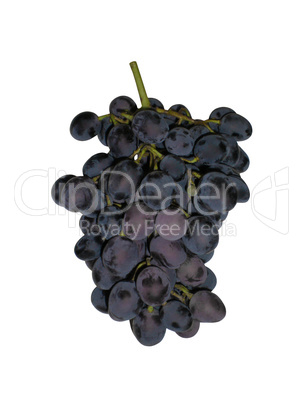 Bunch of blue grapes