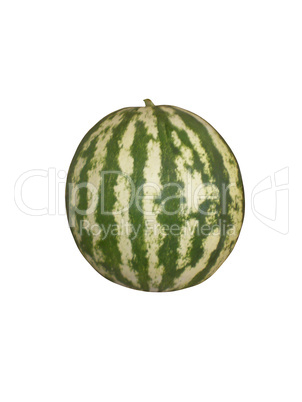 Watermelon on a white background