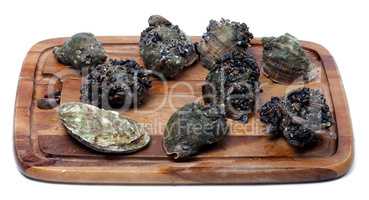 Veined rapa whelk and oyster on wooden kitchen board