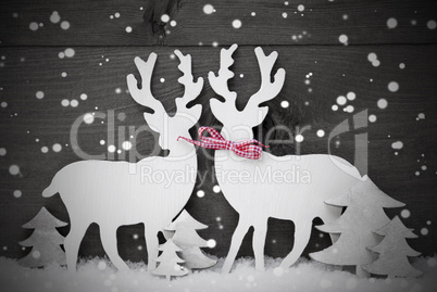 Gray, Christmas Decoration, Reindeer Couple In Love, Snowflakes