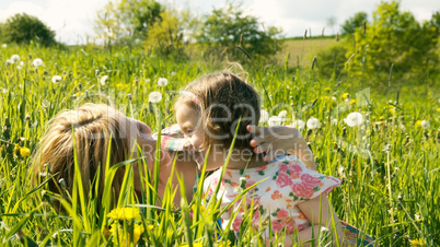 Spring Meadow #11