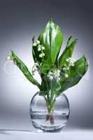 Lily Of The Valley