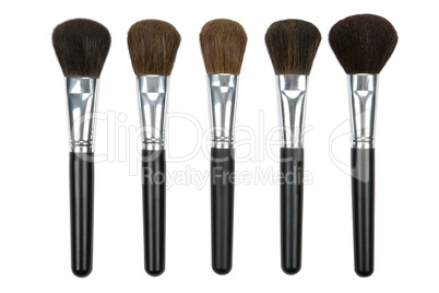 Cosmetic Brushes