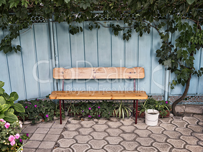 wooden bench near the fence with ivy