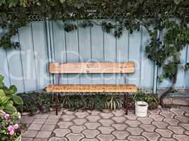 wooden bench near the fence with ivy