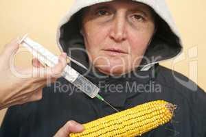 GMO corn