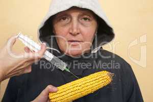 GMO corn