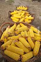 Baskets with corn cobs