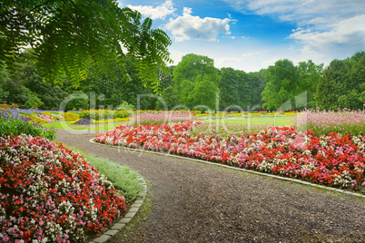 beautiful alley with blooming flowers in the park