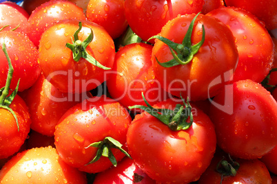 red ripe tomatoes