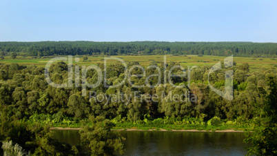 summer landscape with river and trees