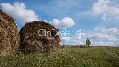 Hay bales field against lone tree