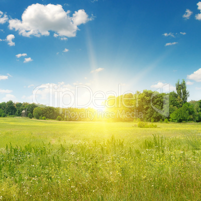 field, sunrise and blue sky