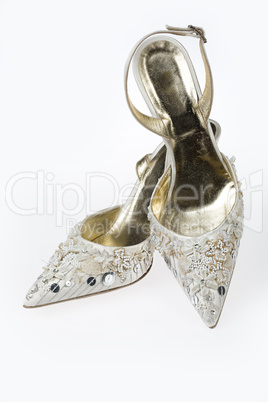 Refined Woman's Shoes