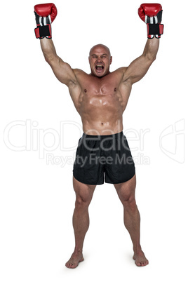 Portrait of winning boxer with arms raised