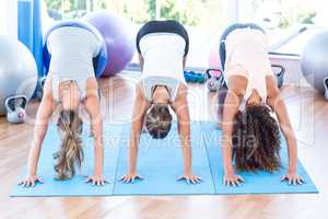 Women doing downward dog position