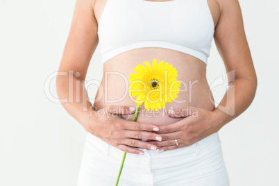 Pregnant woman touching her stomach while holding yellow flower