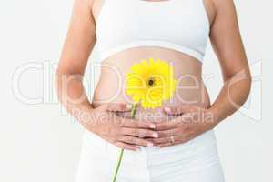 Pregnant woman touching her stomach while holding yellow flower