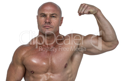 Portrait of muscular man flexing bicep