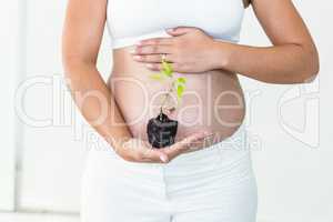 Pregnant woman touching her stomach while holding plant