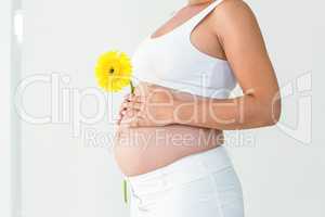 Pregnant woman touching her belly while holding yellow flower