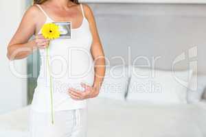 Midsection of pregnant woman holding flower with sonogram