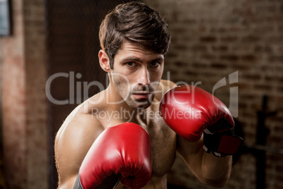 Portrait of a man wearing boxing gloves Portrait of a man wearing boxing gloves