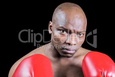 Portrait of bald boxer in gloves