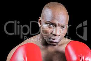 Portrait of bald boxer in gloves