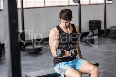 Sporty man exercising with dumbbells