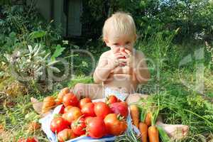 baby eats ripe tomatoes