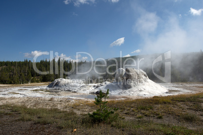 Yellowstone Nationalpark, Utah, USA