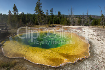 Yellowstone Nationalpark, Utah, USA