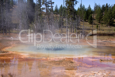 Yellowstone Nationalpark, Utah, USA