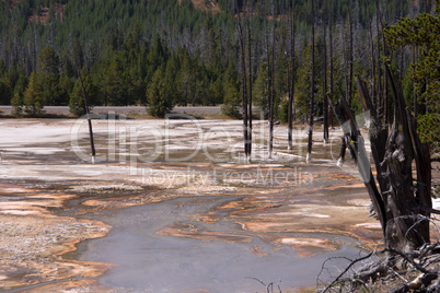 Yellowstone Nationalpark, Utah, USA