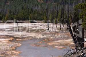 Yellowstone Nationalpark, Utah, USA