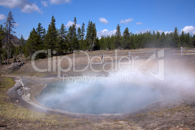 Yellowstone Nationalpark, Utah, USA