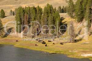 Yellowstone Nationalpark, Utah, USA