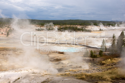 Yellowstone Nationalpark, Utah, USA