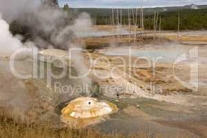 Yellowstone Nationalpark, Utah, USA