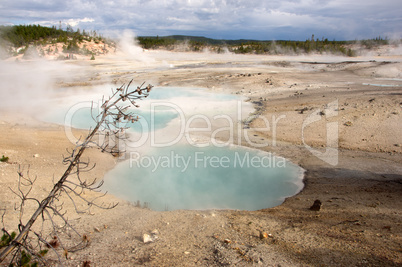 Yellowstone Nationalpark, Utah, USA