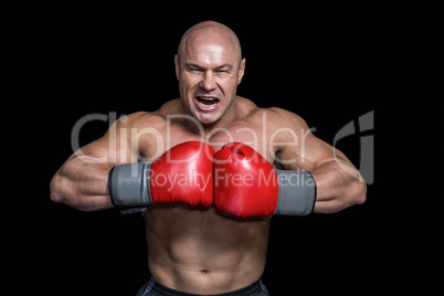 Angry bald boxer with punching gloves