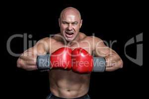 Angry bald boxer with punching gloves