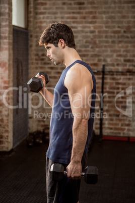 Side view of focused man lifting dumbbells