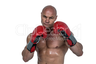 Portrait of bald boxer in red gloves